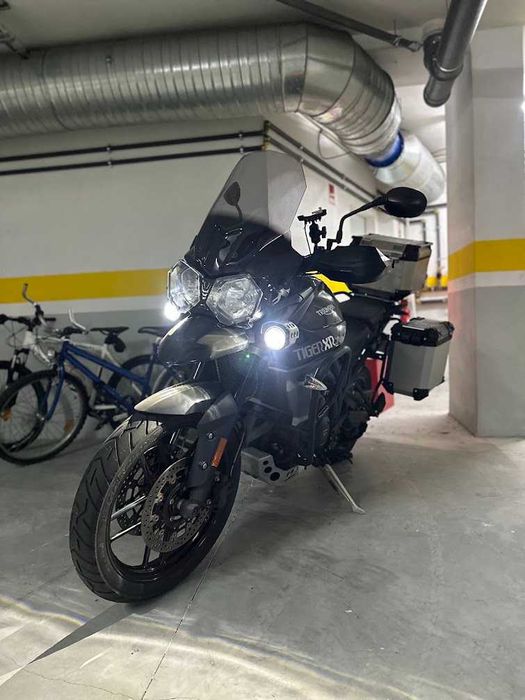 TRIUMPH tiger xrx 800
