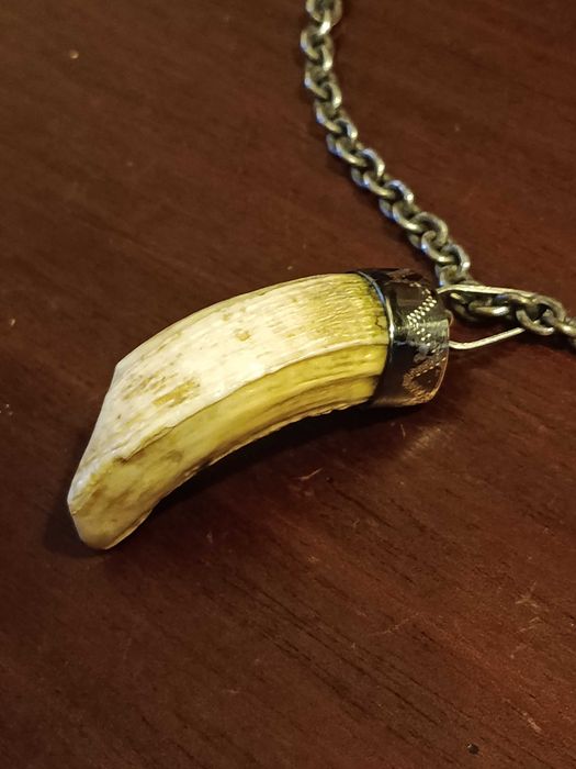 Fio Troféu Presa Prata Esterlina Vitoriano da Era do Raj 70 cm 65 gr