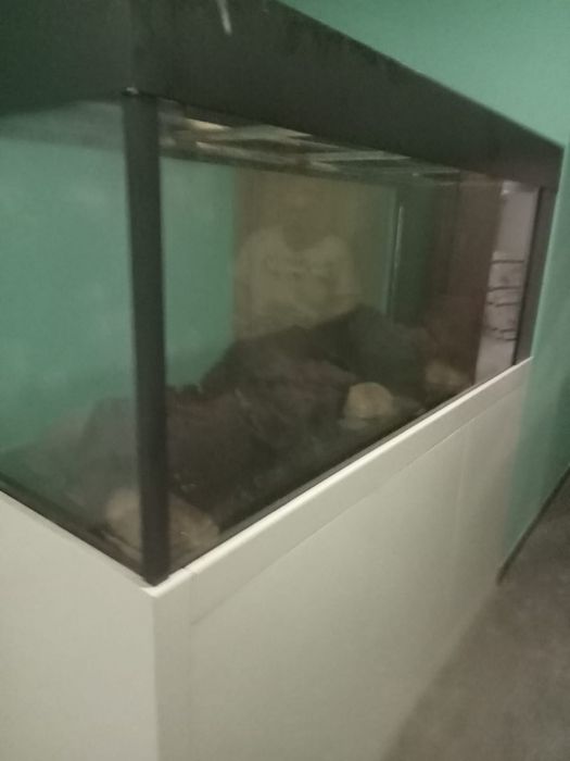 Aquario grande com movel