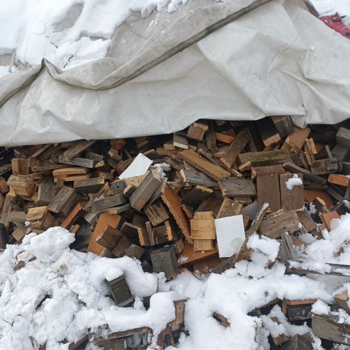 Stos drzewa pocietego