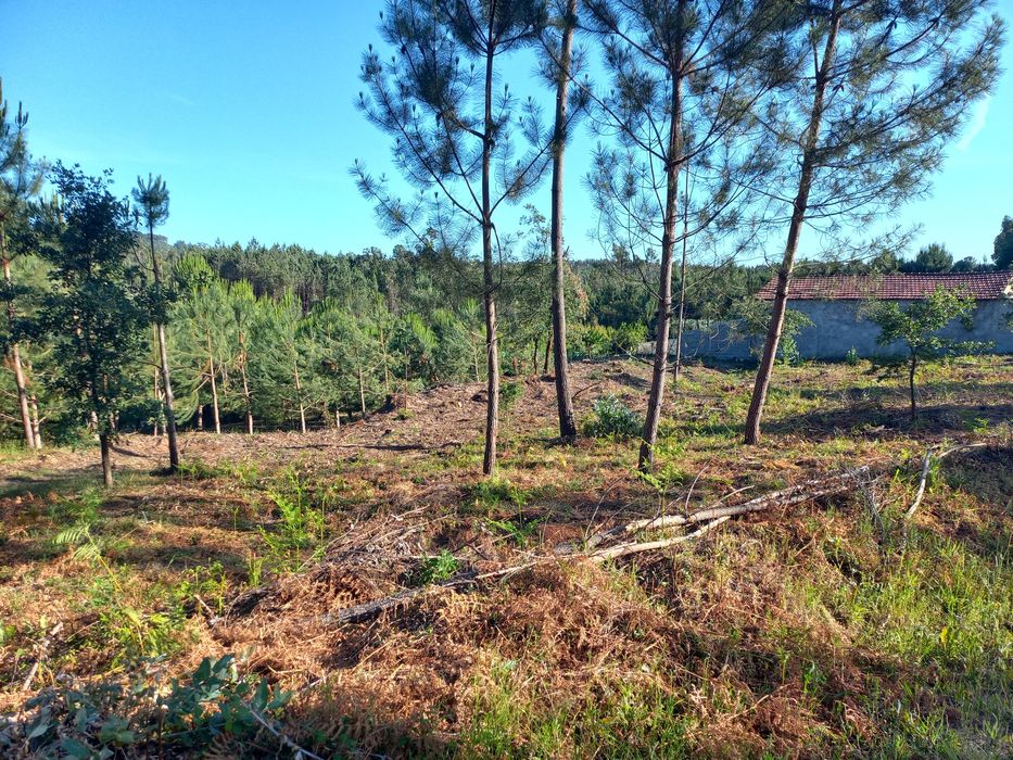 Terreno para construção 1205m2