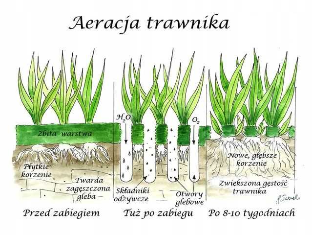 Glebogryzarka wertykulator aerator rurkowy, ciągniczek ogrodowy