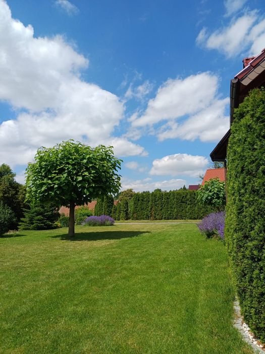 Sprzedam atrakcyjny dom z ogrodem Raszów