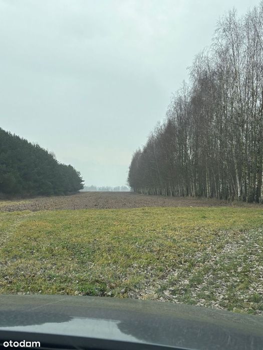 Działka rolno - inwestycyjna  23100 m2  z możliwością zabudowy