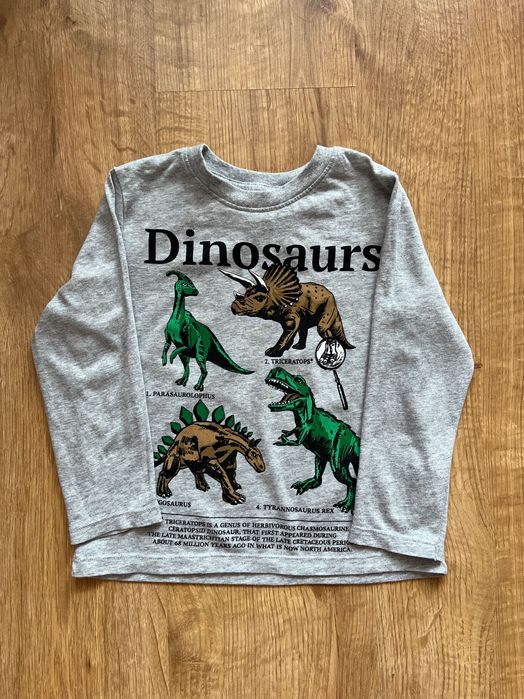 Koszulka długi rękaw szara dinozaury dla chłopca, roz 98/104, H&M
