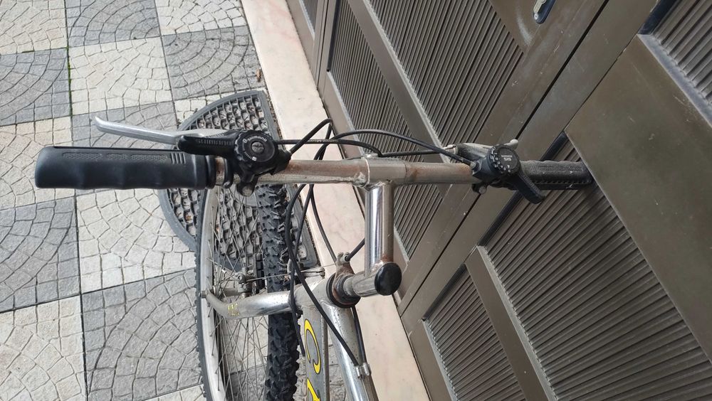 Bicicleta adulto