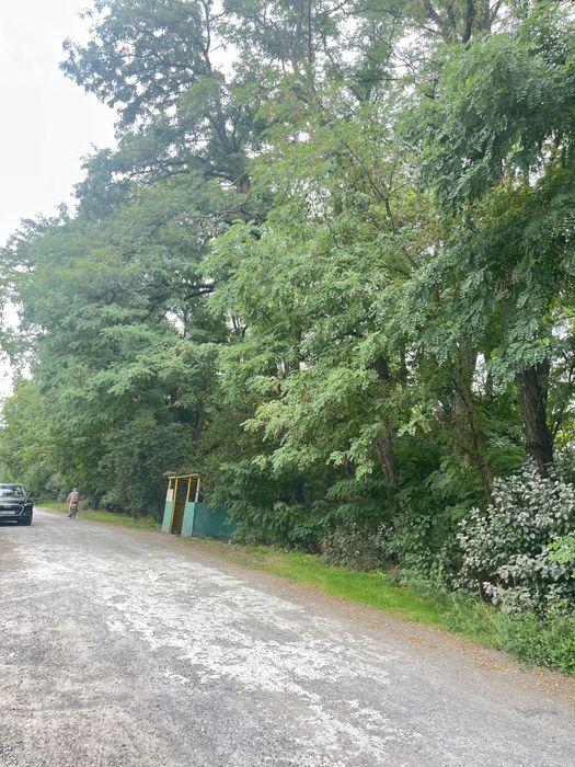 Продаж дачі СО Ягодка (Каменское),сосновий ліс,зупинка маршрутки/магаз