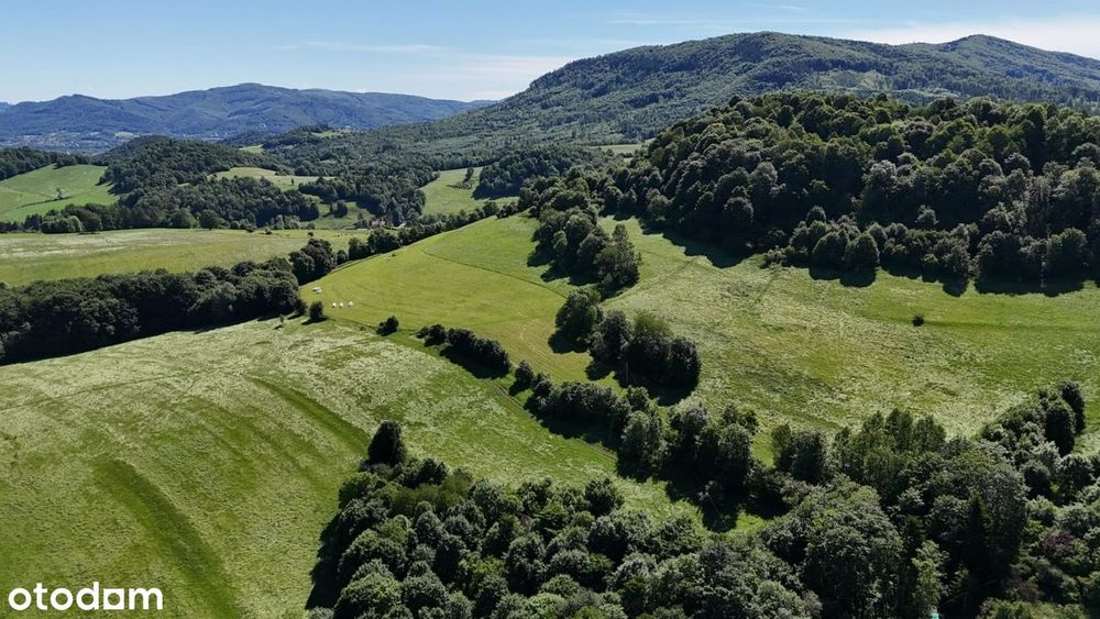 Sielskie siedlisko w Beskidach, Leszna Górna, Goleszów, Ustroń 5,5ha