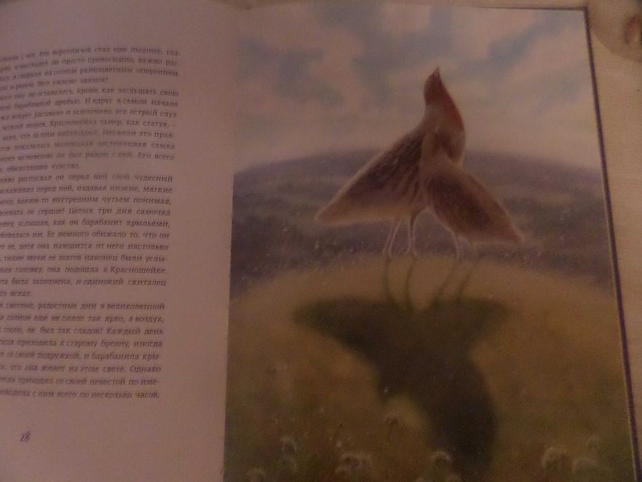 Эрнест Сетон-Томпсон Красношейка