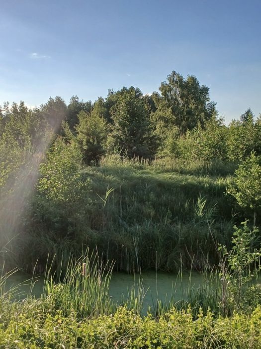 Земельна ділянка поряд з річкою
