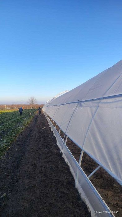 Теплиця 10×50м - вирощуйте овочі круглий рік