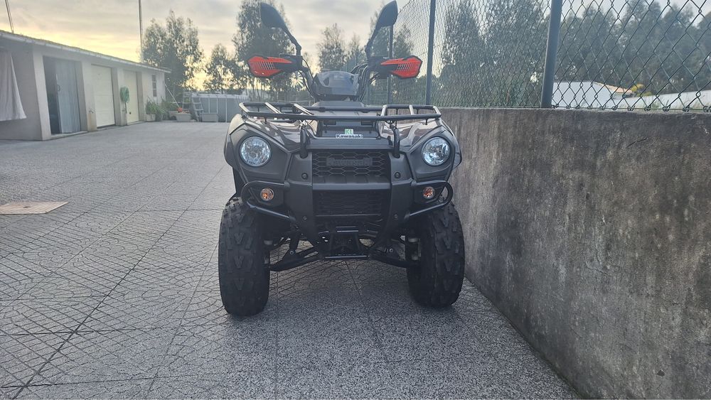 Kawasaki brute force 300