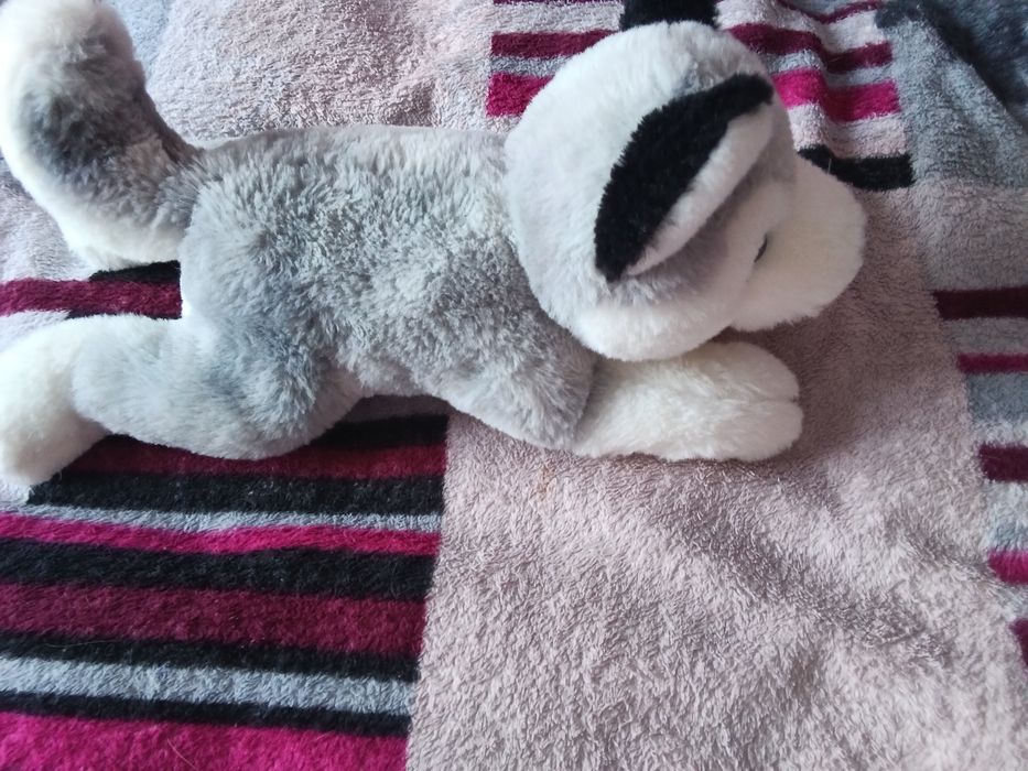 Продам велику гарну іграшку хаскі)