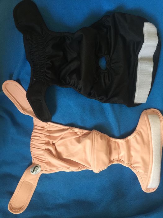 Holly Berlin рremium dog pants