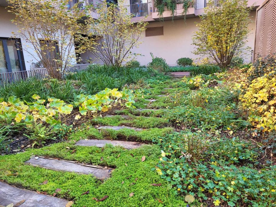 Projektowanie ogrodów , budowa ogrodów , zakladanie trawników