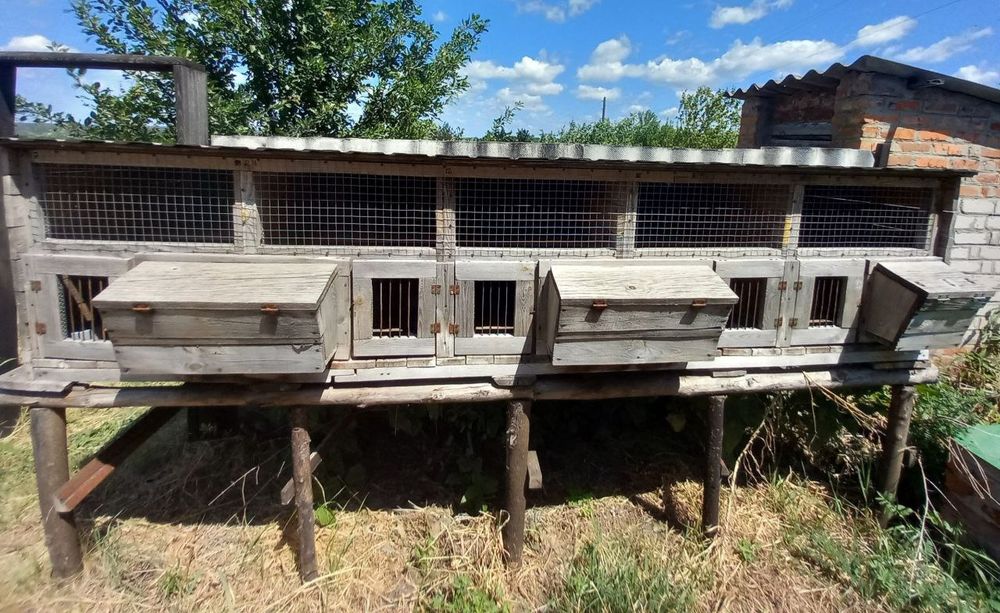 Клітки для кролів і птиці