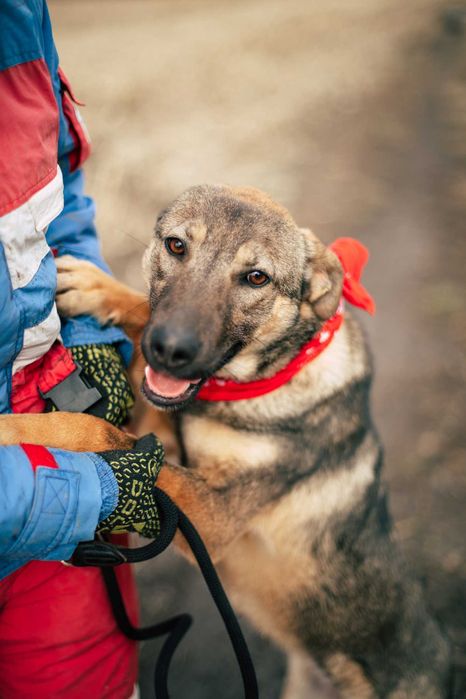 Муха дуже чекає на свою турботливу і люблячу сім'ю..