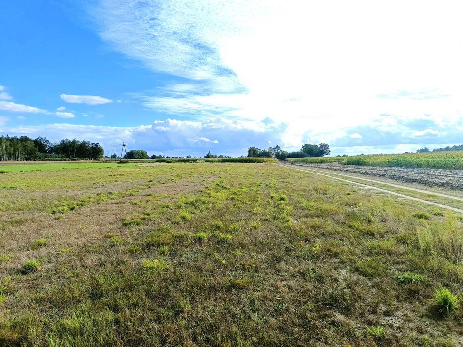 Działki pod budowę wymarzonego domu.