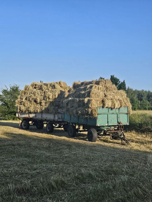 Do sprzedania siano kostkowe
