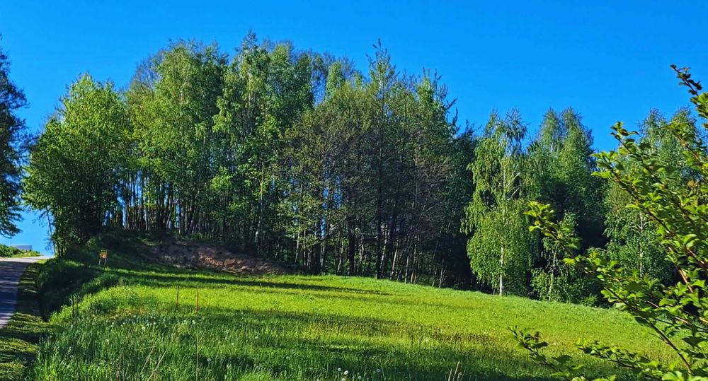 Działka budowlana 12,5 ar Czudec pow. Strzyżów | piękne widoki | sąsiedztwo lasku | WZ | media | 20 min do Rzeszowa - Widok 5