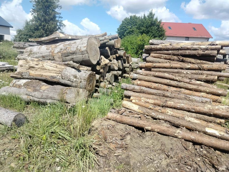 Drewno kominkowe