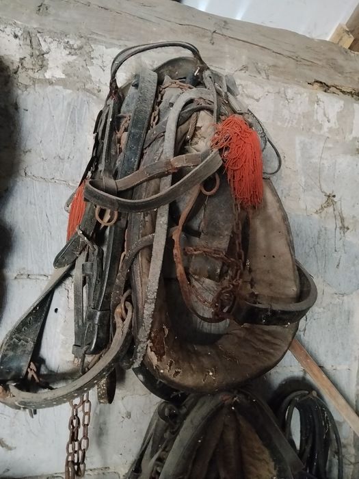 Sprzedam 4 zestawy do ubrania konia