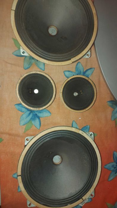 Динамики на колонки