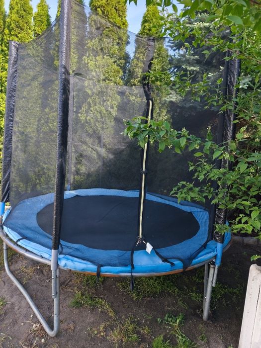 Trampolina 244 cm.