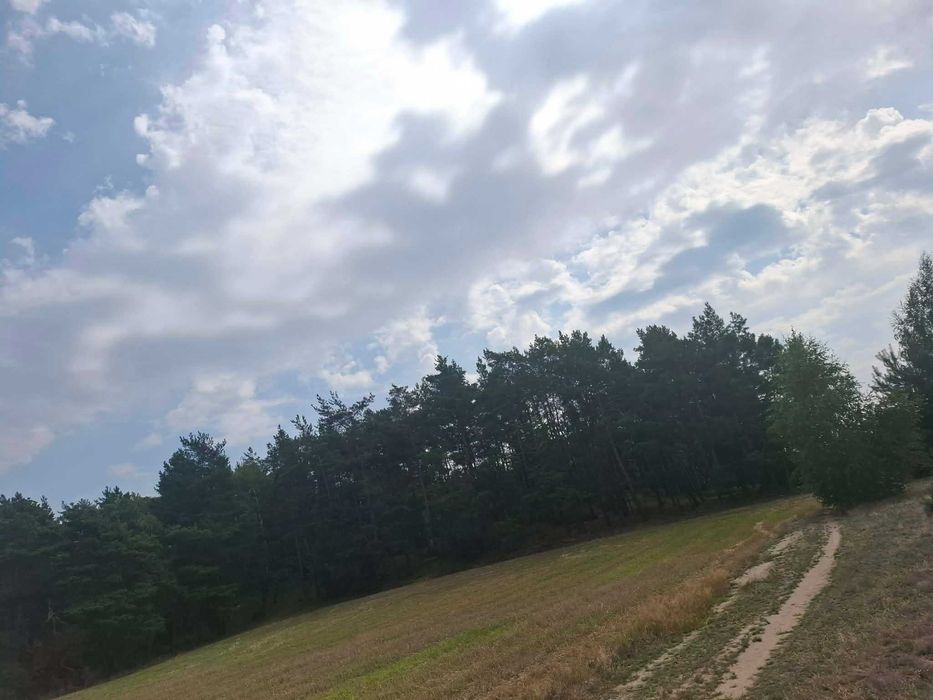 Działka budowlana 72 ary + prywatny LAS 1,07 ha | Tuliszków - Dryja - Więcej