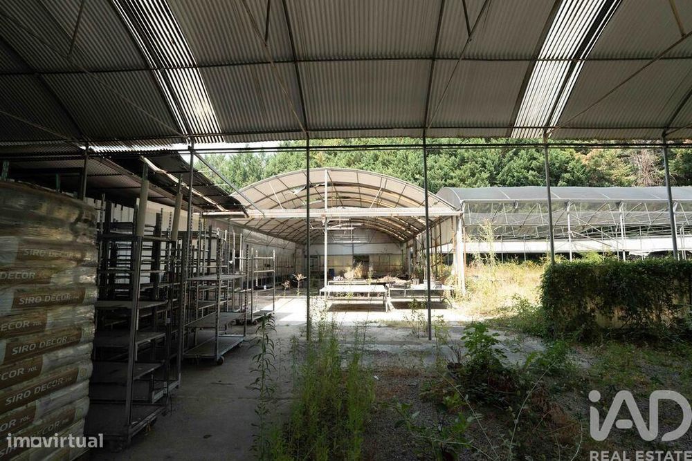 Terreno para construção em Borbela e Lamas de Olo de 2750,00 m2