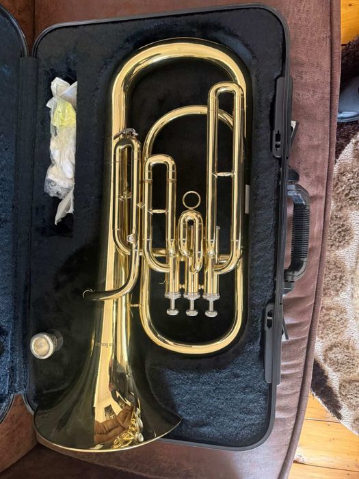 Еуфониюм Yamaha YEP-201