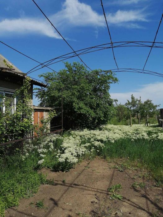 Продам дом с Выпасное (центр)