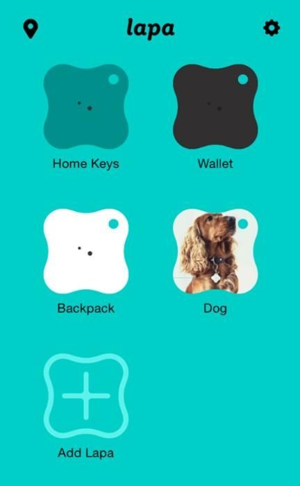 Lapa - Encontre chaves, gatos, cães, tudo