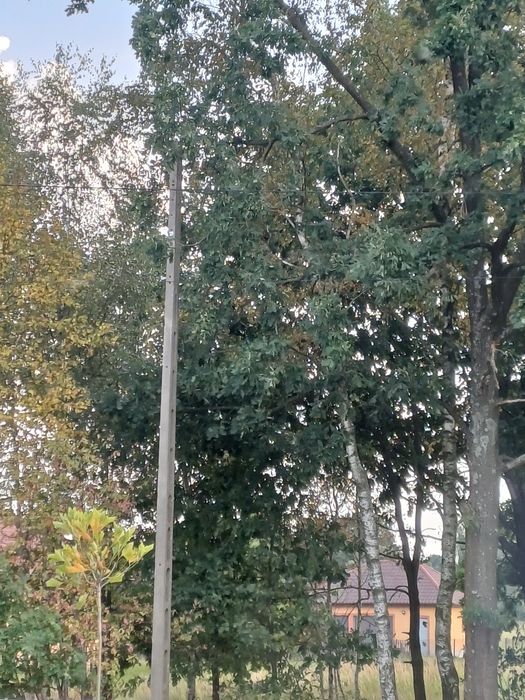 Słupku elektryczny
