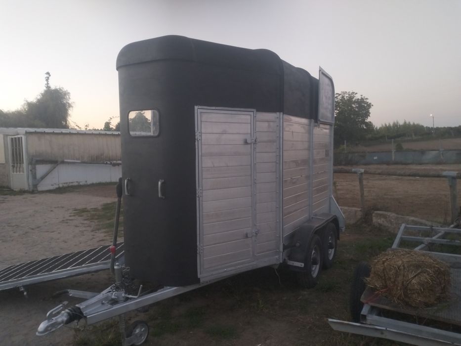 Atrelado de cavalos / égua