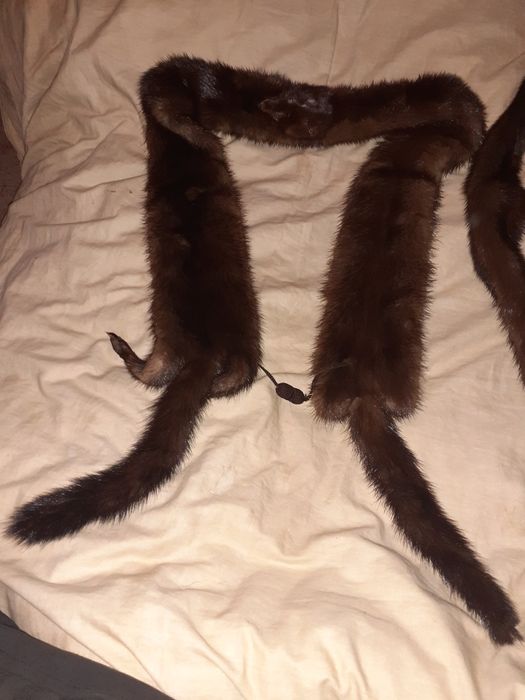 Воротник, либо пояс, с застежкой