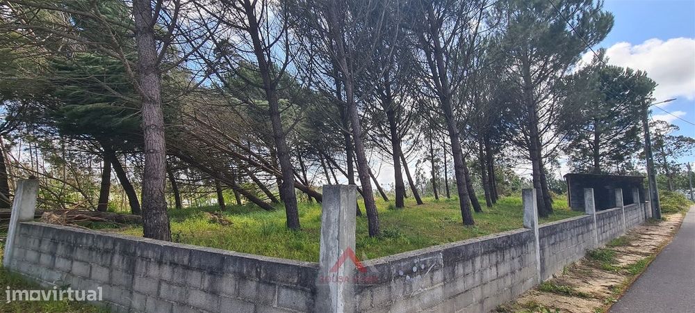Quintinha / Terreno 15.000M2 Maceirinha