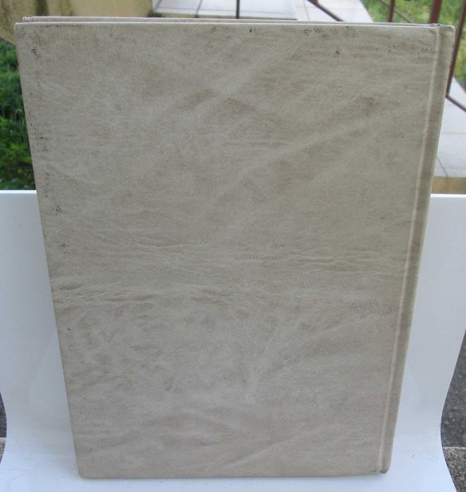 O Livro do Casal, Maternidade (volume II)