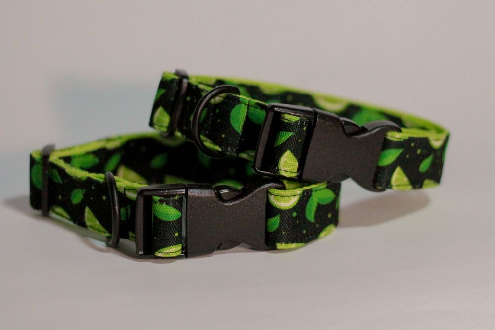 Принтовий ошийник для собак