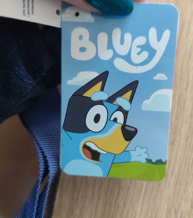 Nowy miś, plecak Blue