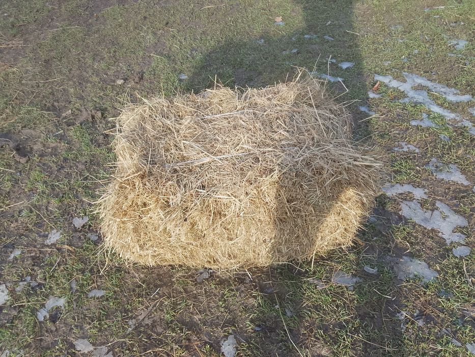 Siano w kostkach i słoma