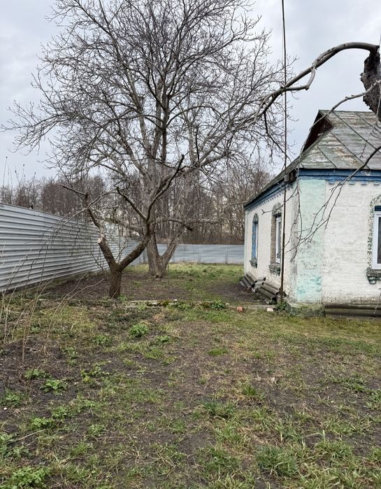 House in Druzhnya - View 2
