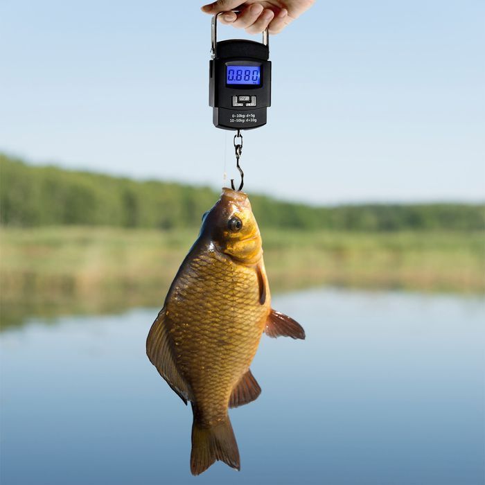 Waga Elektroniczna Bagażowa Hakowa Wędkarska Turystyczna do Walizek