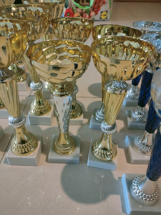 Taças / Troféus desportivos