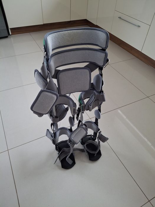 Oddam za darmo pionizator