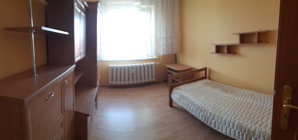 Zdjęcie 2