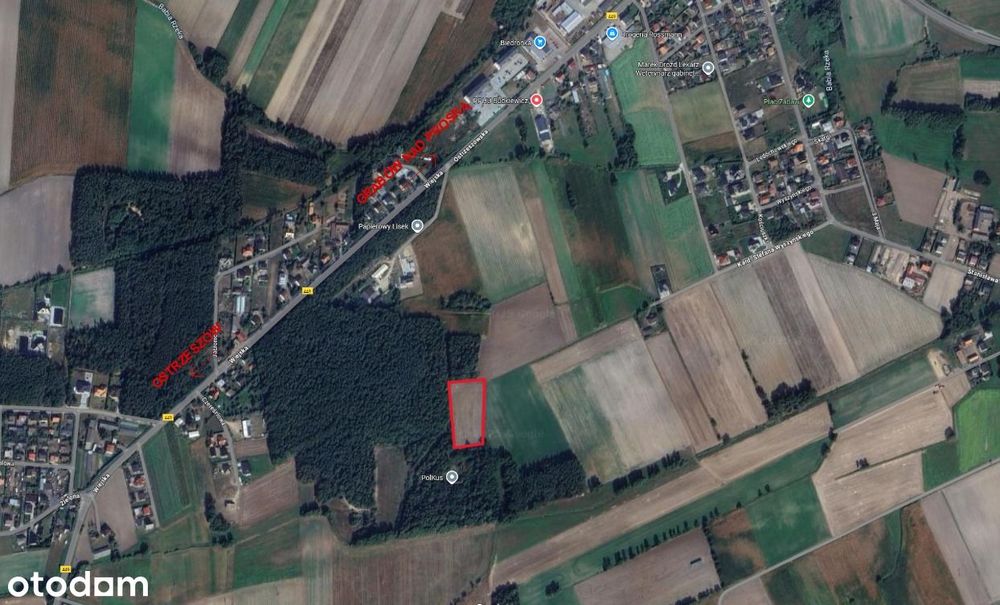Wyjątkowe działki budowlane w sercu lasu