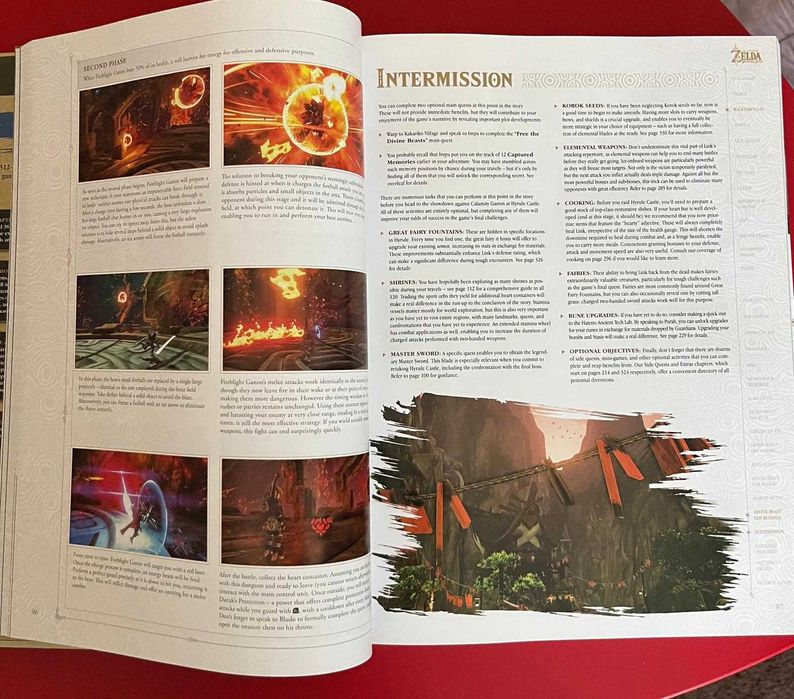 The Legend of Zelda: Breath of the Wild O Guia Completo: - Inglês