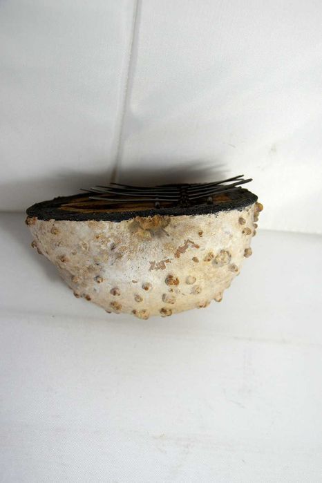 Instrumento Musical Africano Cabaça