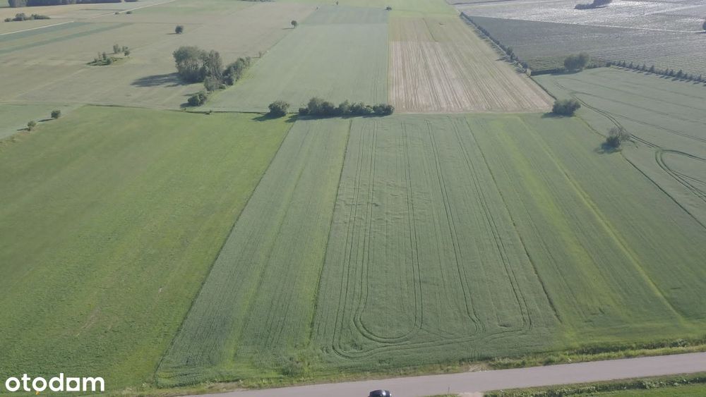 Działka, Łubianka